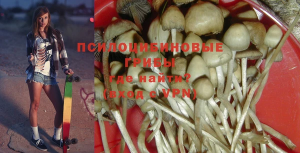 a pvp Абинск